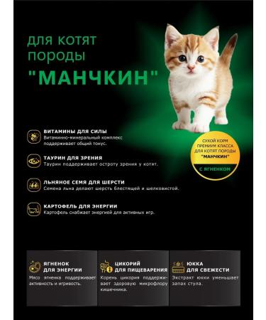 QUATTRO Feed for kittens of breed Manchec with lamb 2 kg - Buy Online on GoSupps.com