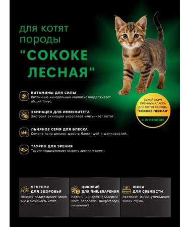 QUATTRO Feed for kittens of breeds Sokoka forest with lamb 2 kg - Buy Online on GoSupps.com