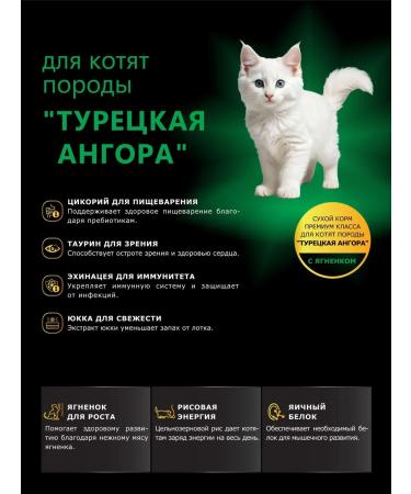 QUATTRO Feed for kittens of the Threas of Turkish Angora with a lamb 2 kg - Buy Online on GoSupps.com