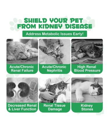 Oimmal Vitamins for supporting kidney -to -cat kids - Buy Online on GoSupps.com