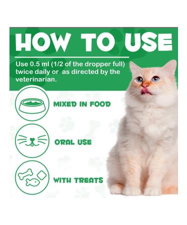 Oimmal Vitamins for supporting kidney -to -cat kids - Buy Online on GoSupps.com