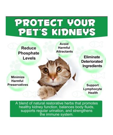 Oimmal Vitamins for supporting kidney -to -cat kids - Buy Online on GoSupps.com