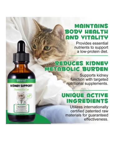 Oimmal Vitamins for supporting kidney -to -cat kids - Buy Online on GoSupps.com