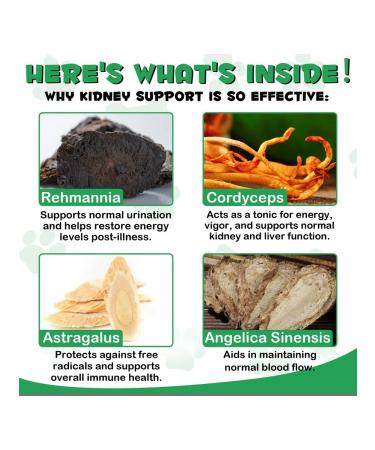 Oimmal Vitamins for supporting kidney -to -cat kids - Buy Online on GoSupps.com