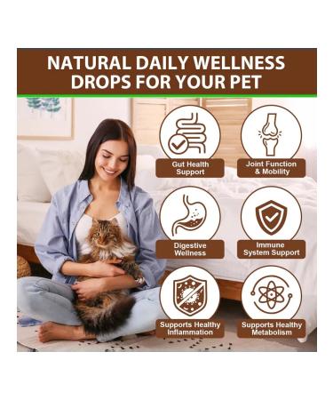 Oimmal Vitamins for immunity with antioxidants trametes for cats - Buy Online on GoSupps.com