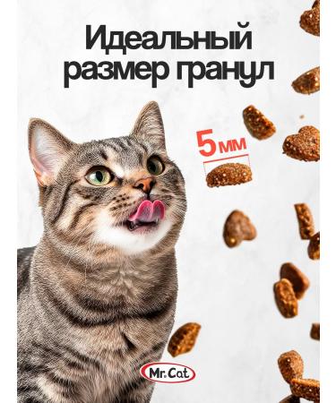 Mr Cat Dry food for cats 400 g Crushing chicken - Buy Online on GoSupps.com