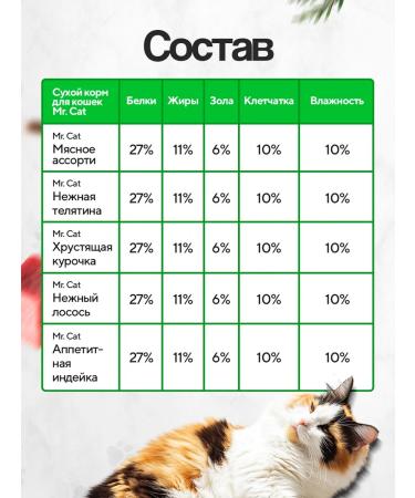 Mr Cat Dry food for cats 400 grams Assorted - Buy Online on GoSupps.com