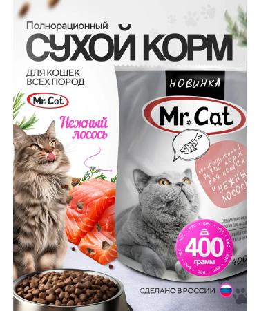 Mr Cat Dry food for cats 400 grams delicate salmon