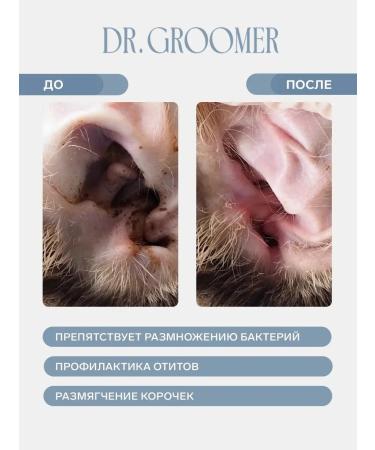 Drops for peeling for cats 60ml - Buy Online on GoSupps.com