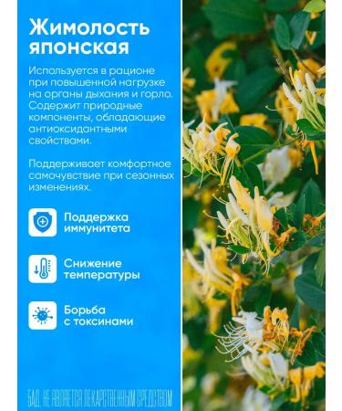 Yiling Lyanhua zinwan antiviral from colds and flu - Buy Online on GoSupps.com