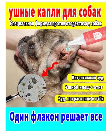 Drops from a ear tick for dogs