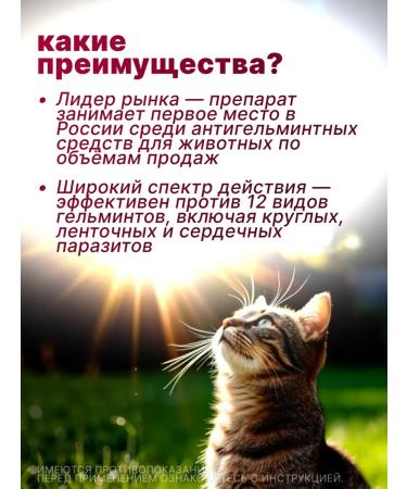 Elanco Milbemax tablets for large cats - Buy Online on GoSupps.com