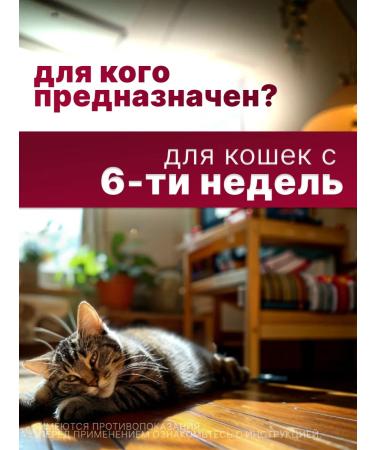 Elanco Milbemax tablets for large cats - Buy Online on GoSupps.com