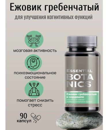 Health of Siberia Ezhovik to improve cognitive functions