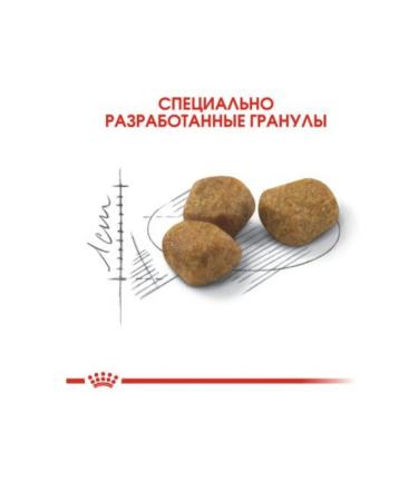 ROYAL CANIN Dry food for elderly cats living in the room 400 g - Buy Online on GoSupps.com