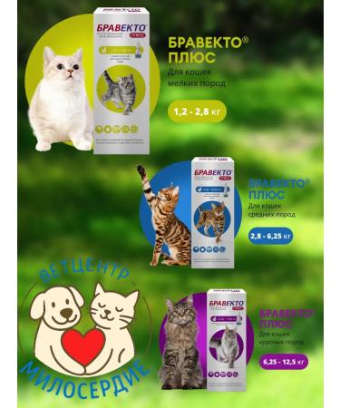bravecto DAACT Plus 250 mg of drops from cats for cats 2.8-6.25 kg - Buy Online on GoSupps.com