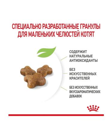 ROYAL CANIN Dry food for kittens under the age of 12 months 2 kg - Buy Online on GoSupps.com