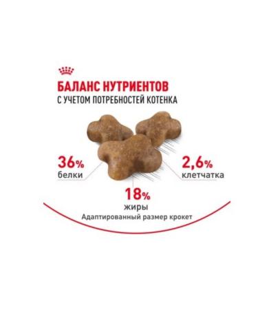 ROYAL CANIN Dry food for kittens under the age of 12 months 4 kg - Buy Online on GoSupps.com