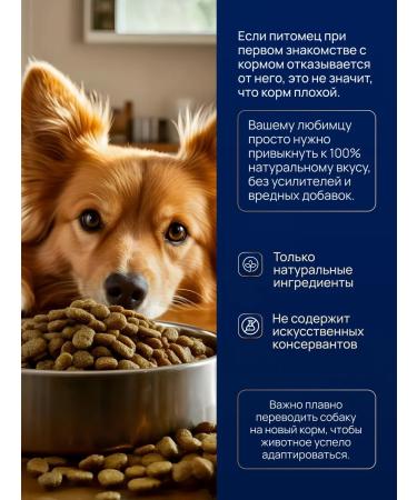 OriginalChef Dry food Holistic for small dogs of lambs 3 kg - Buy Online on GoSupps.com