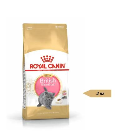 ROYAL CANIN Dry food British Shorthair Kitten up to 12 months 2kg