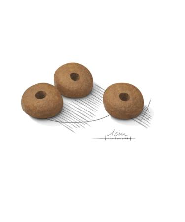 ROYAL CANIN Food for adult cats for the prevention of excess weight 400 g - Buy Online on GoSupps.com