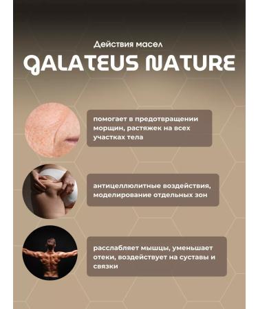 GALATEUS NATURE Massage fir oil for muscles and joints - Buy Online on GoSupps.com