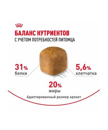 ROYAL CANIN Main-kun breed food for 15 months 10 kg - Buy Online on GoSupps.com