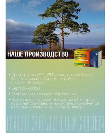 Arthrocin Glucosamine chondroitin MSM capsules 0.46g No. 60 (dietary supplement) - Buy Online on GoSupps.com