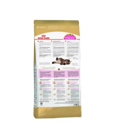 ROYAL CANIN Dry food for kittens Main Kun at the age of 15 months 2 kg - Buy Online on GoSupps.com