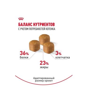 ROYAL CANIN Food for Maine Coon kittens aged 3 to 15 months 400 g - Buy Online on GoSupps.com