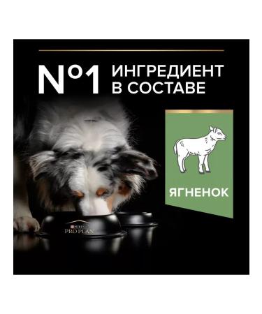 Purina Pro Plan Feed for dogs with sensitive digestion of lambs 14 kg - Buy Online on GoSupps.com