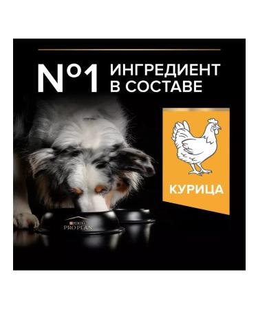 Purina Pro Plan Dry food for dogs of medium breeds with chicken 14 kg - Buy Online on GoSupps.com