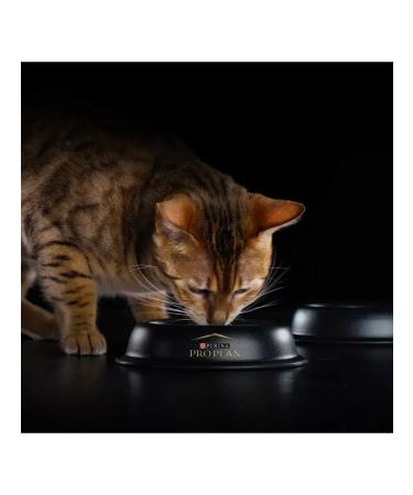 Purina Pro Plan Dry food for Renal Plus cats with chicken 3 kg - Buy Online on GoSupps.com