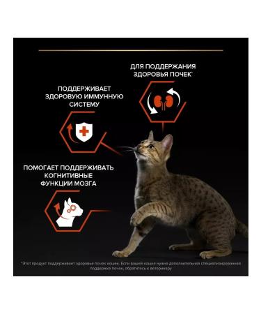 Purina Pro Plan Dry food Original Adult for adult cats with salmon 10 kg - Buy Online on GoSupps.com