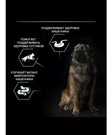 Purina Pro Plan Dry food for dogs of large breeds with lamb 14 kg - Buy Online on GoSupps.com