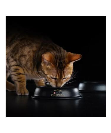 Purina Pro Plan Set of spider Pro Plan Steril turkey 2.21kg - Buy Online on GoSupps.com