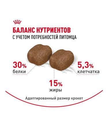 ROYAL CANIN Dry food for Dental Care cats from 1 year 400g - Buy Online on GoSupps.com