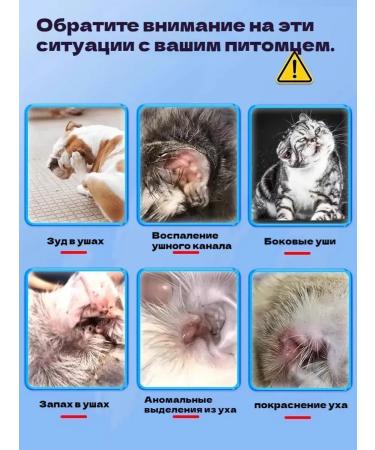 Lotion for cleaning the ears of dogs and cats natural - Buy Online on GoSupps.com