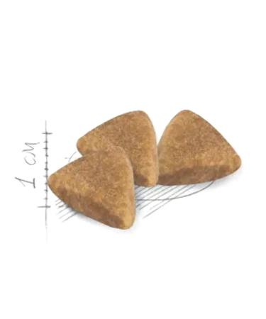 ROYAL CANIN Dry food for cats with digestive disorders 2 kg - Buy Online on GoSupps.com