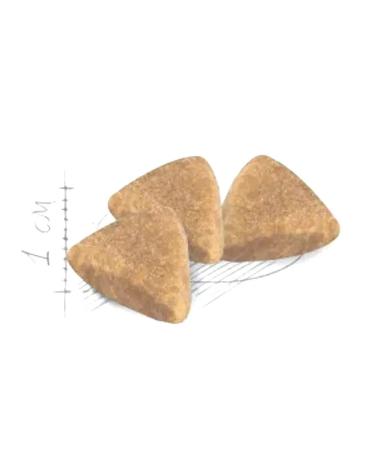 ROYAL CANIN Dry food for cats with food allergies 2 kg - Buy Online on GoSupps.com