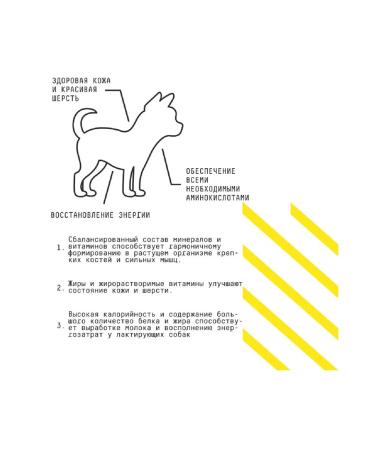 AJO Small Puppy & Junior for small breeds with buckwheat 8kg - Buy Online on GoSupps.com