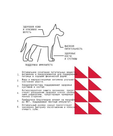 AJO Maxi Adult dry docts of large breeds with buckwheat 12kg - Buy Online on GoSupps.com