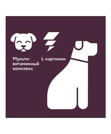 2u Multivitamin treat for dogs with L-carnitine 60pcs - Buy Online on GoSupps.com