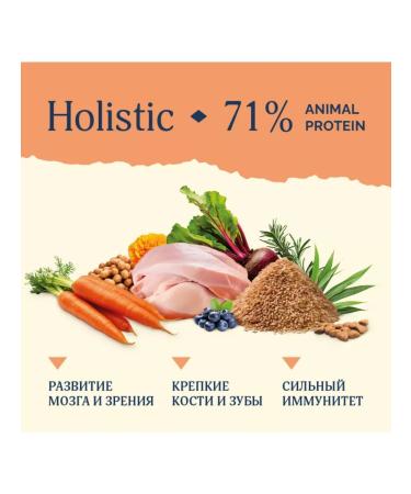 Advance Holistic Dry food for kittens and with turkey and brown rice 2.5 kg - Buy Online on GoSupps.com