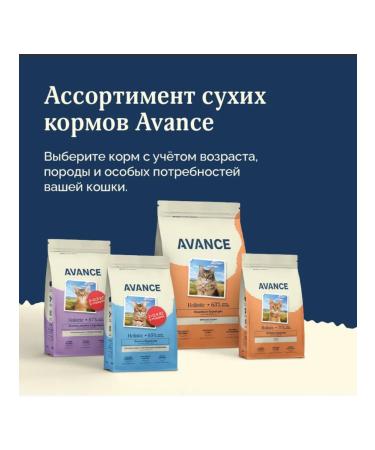 Advance Holistic Dry food for cats lambs turkey brown rice 2.5 kg - Buy Online on GoSupps.com