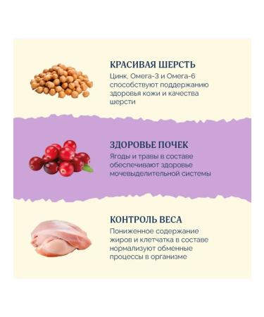 Advance Holistic Dry food for cats lambs turkey brown rice 2.5 kg - Buy Online on GoSupps.com