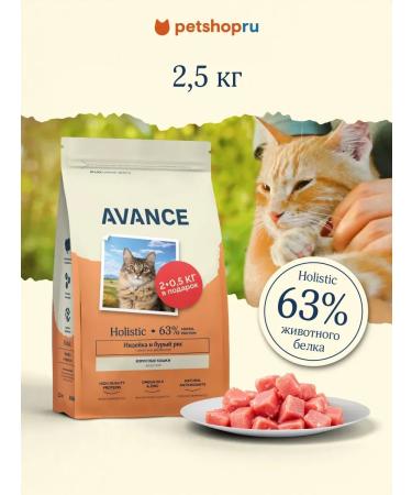 Advance Holistic Dry food for cats with turkey and brown rice 2.5 kg
