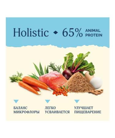 Advance Holistic Dry food for cats salmon and brown rice 400g - Buy Online on GoSupps.com