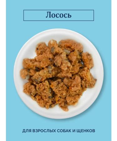 Advance Holistic Canned food for dogs and puppies with salmon Salmon 12 x 100 g - Buy Online on GoSupps.com