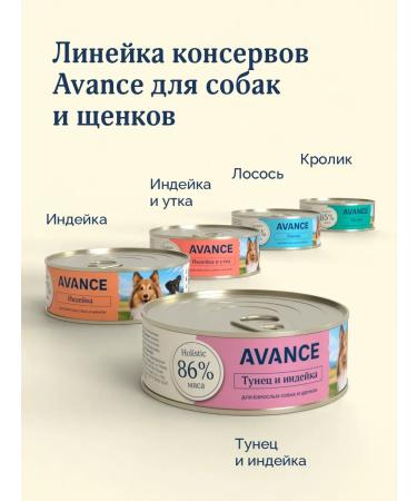 Advance Holistic Canned food for dogs and puppies with rabbit Rabbit 12 x 100 g - Buy Online on GoSupps.com